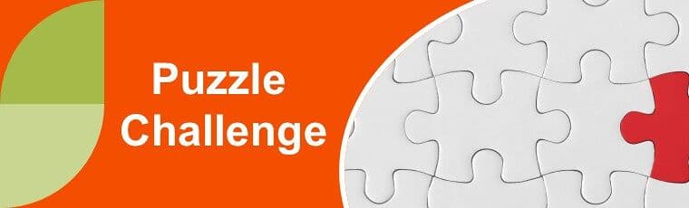 Solana Beach Puzzle Challenge