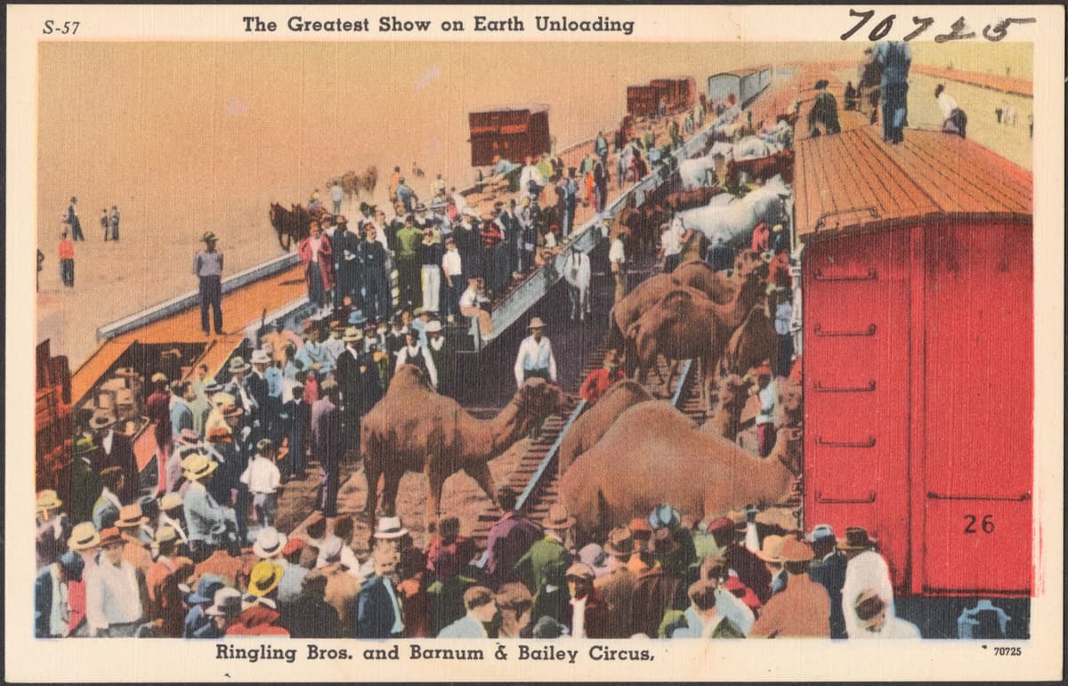 Ringling Bros and Barnum & Bailey